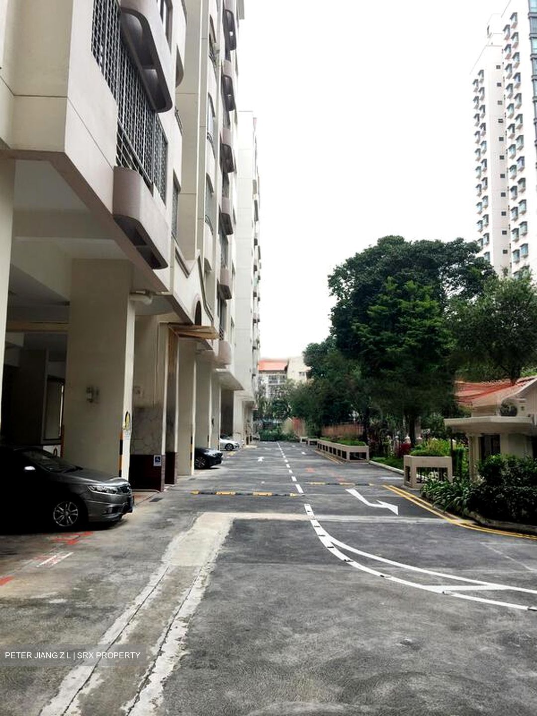 Ritz Mansion (D12), Apartment #463213031